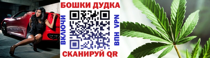 хочу   Магас  Конопля ГИДРОПОН 